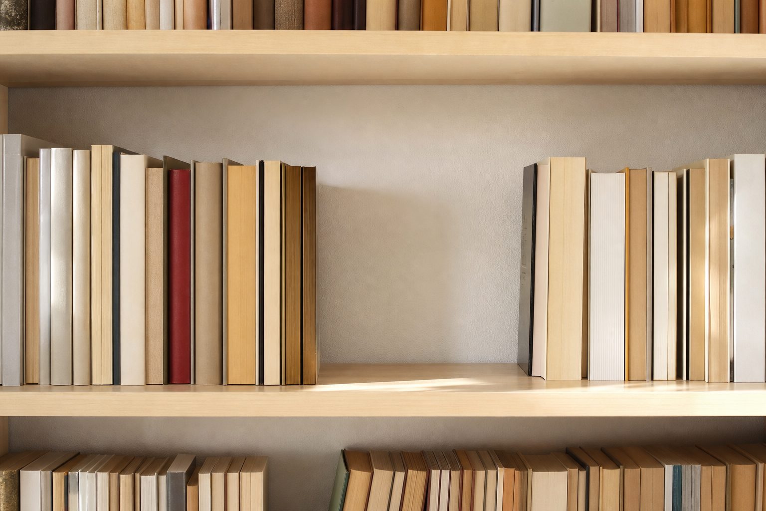 Library shelf with a visible gap between books, pale wood shelving in soft even daylight